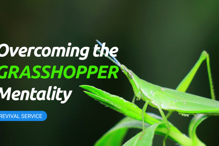 grasshopper mentality thumbnail